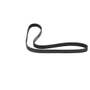 167711 | Alternator Belt | Bobcat A770 S750 S770 S850 T750 T770 T870 | | 7174706 167711 | Alternator Belt | Bobcat A770 S750 S770 S850 T750 T770 T870 | | 7174706