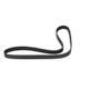 167711 | Alternator Belt | Bobcat A770 S750 S770 S850 T750 T770 T870 | | 7174706 167711 | Alternator Belt | Bobcat A770 S750 S770 S850 T750 T770 T870 | | 7174706
