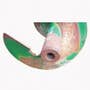 409078 | Auger - Unloading Horizontal Short | John Deere CTS CTSII 8820 9400 9410 9450 9500 9500 SH 9510 9510 SH 9550 9550 SH 9560 9560 SH 9560 STS 9570 STS 9600 9610 9650 9650 CTS 9650 STS 9660 9660 CTS 9750 STS | | AH112435 409078 | Auger - Unloading Horizontal Short | John Deere CTS CTSII 8820 9400 9410 9450 9500 9500 SH 9510 9510 SH 9550 9550 SH 9560 9560 SH 9560 STS 9570 STS 9600 9610 9650 9650 CTS 9650 STS 9660 9660 CTS 9750 STS | | AH112435