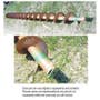 410387 | Auger - Unloading | John Deere 3300 4400 4400 4420 | | AH76609 | AH114138 410387 | Auger - Unloading | John Deere 3300 4400 4400 4420 | | AH76609 | AH114138