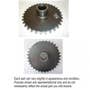 430432 | Axle Drive Sprocket | New Holland L180 L185 L190 L865 LS180 LS180B LS185B LS190 LS190B LX865 LX885 LX985 | | 9841006 | 84172883 430432 | Axle Drive Sprocket | New Holland L180 L185 L190 L865 LS180 LS180B LS185B LS190 LS190B LX865 LX885 LX985 | | 9841006 | 84172883