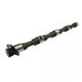 158784 | Balancer Shaft - Right Hand | John Deere 310C 310C 315C 340D 340D 344E 344E 344G 344G 401C 401C 410D 410D 440C 440C 440D 444E 444E 444G 444G 448D 450E 450E 450G 450G 455E 455E 455G 455G 490 490 490E 490E 510B 510B 510C 510C | | AR69710 | R54634 158784 | Balancer Shaft - Right Hand | John Deere 310C 310C 315C 340D 340D 344E 344E 344G 344G 401C 401C 410D 410D 440C 440C 440D 444E 444E 444G 444G 448D 450E 450E 450G 450G 455E 455E 455G 455G 490 490 490E 490E 510B 510B 510C 510C | | AR69710 | R54634