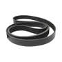 196986 | Belt - Fan | John Deere SE6100 SE6200 SE6300 SE6400 335D 437D 437D 6100 6200 6300 6400 6403 7200 7200 7400 7400 7610 7610 7710 7810 | | 903K8 | R115614 | R131433 | L115659 | R500381 196986 | Belt - Fan | John Deere SE6100 SE6200 SE6300 SE6400 335D 437D 437D 6100 6200 6300 6400 6403 7200 7200 7400 7400 7610 7610 7710 7810 | | 903K8 | R115614 | R131433 | L115659 | R500381