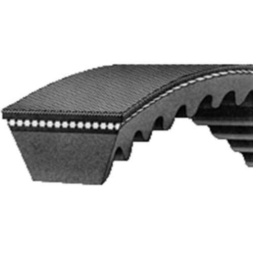 118451 | Belt - Fan | Allis Chalmers 170 175 | Massey Ferguson 155 158 231 |  | 70248316 | 773300M1 | 909319M3