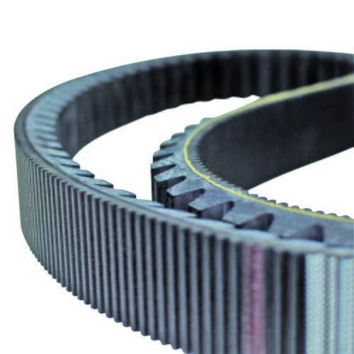 123718 | Belt - Rotor Drive | Seamless | Case IH 2388 2577 2588 5088 |  | 51529626 | 87301455 | 84194650