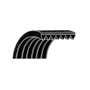192099 | Belt - Trailer Air Brakes | Case IH Puma 185CVT Puma 220CVT Puma 240CVT Puma 165 Puma 170 Puma 180 Puma 185 Puma 195 Puma 200 Puma 210 Puma 215 Puma 225 Puma 230 | | 87300105 192099 | Belt - Trailer Air Brakes | Case IH Puma 185CVT Puma 220CVT Puma 240CVT Puma 165 Puma 170 Puma 180 Puma 185 Puma 195 Puma 200 Puma 210 Puma 215 Puma 225 Puma 230 | | 87300105