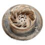 408999 | FlyWheel | Bobcat T250 | | 7100860 408999 | FlyWheel | Bobcat T250 | | 7100860