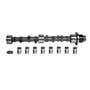 184795 | Camshaft Kit | Ford 8N 120 | | 8N6250 184795 | Camshaft Kit | Ford 8N 120 | | 8N6250