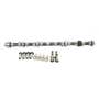 158278 | Camshaft & Lifter Kit | John Deere 4000 4020 4050 4055 4230 4240 4250 4255 4320 4430 4440 4450 4455 4520 4620 4630 4640 4650 4840 4850 6404A 6404D 6404T 6466A | | AR100385 | R44310 | R45980 | R47020 | R47110 | R49470 | R49650 | R59850 | R72128 158278 | Camshaft & Lifter Kit | John Deere 4000 4020 4050 4055 4230 4240 4250 4255 4320 4430 4440 4450 4455 4520 4620 4630 4640 4650 4840 4850 6404A 6404D 6404T 6466A | | AR100385 | R44310 | R45980 | R47020 | R47110 | R49470 | R49650 | R59850 | R72128