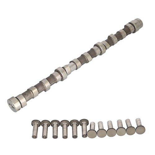 Camshaft & Lifter Kit fits John Deere 7710 7720 7810 7820 7920 8100 8110 8120 8200 8210 8220 8300 8310 8320 8400 8410 8420 8520 9100 7700 7800 RE57054 Camshaft & Lifter Kit fits John Deere 7710 7720 7810 7820 7920 8100 8110 8120 8200 8210 8220 8300 8310 8320 8400 8410 8420 8520 9100 7700 7800 RE57054