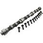 158525 | Camshaft & Lifter Kit | John Deere 4055 4255 4455 4555 4560 4755 4760 4955 4960 6076 6076A 6076T 8560 8760 8960 9500 9600 9960 | | RG22421 158525 | Camshaft & Lifter Kit | John Deere 4055 4255 4455 4555 4560 4755 4760 4955 4960 6076 6076A 6076T 8560 8760 8960 9500 9600 9960 | | RG22421