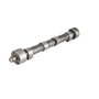174787 | Camshaft | Belarus Golfmaster 250AS 305 310 3011 3021 3045 3055 | | D21-100-6015-A410 174787 | Camshaft | Belarus Golfmaster 250AS 305 310 3011 3021 3045 3055 | | D21-100-6015-A410