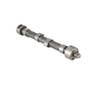 174787 | Camshaft | Belarus Golfmaster 250AS 305 310 3011 3021 3045 3055 | | D21-100-6015-A410 174787 | Camshaft | Belarus Golfmaster 250AS 305 310 3011 3021 3045 3055 | | D21-100-6015-A410