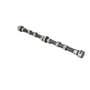 178219 | Camshaft | Belarus Golfmaster 250AS 305 310 400A 400AN 405A 405AN 420A 420AN 425A 425AN 3011 3021 3045 3055 3145 | | D37M-1006015-A3 178219 | Camshaft | Belarus Golfmaster 250AS 305 310 400A 400AN 405A 405AN 420A 420AN 425A 425AN 3011 3021 3045 3055 3145 | | D37M-1006015-A3