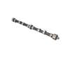 178219 | Camshaft | Belarus Golfmaster 250AS 305 310 400A 400AN 405A 405AN 420A 420AN 425A 425AN 3011 3021 3045 3055 3145 | | D37M-1006015-A3 178219 | Camshaft | Belarus Golfmaster 250AS 305 310 400A 400AN 405A 405AN 420A 420AN 425A 425AN 3011 3021 3045 3055 3145 | | D37M-1006015-A3