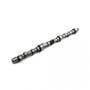160894 | Camshaft | International | Farmall | IH C221 C263 C291 C301 D236 D282 D301 DT282 Hydro 70 Hydro 86 T6 T6 TD6 TD6 TD9 TD9 TD9B 101 151 181 205 303 315 403 414 420 453 460 503 560 606 615 616 622 656 666 686 706 715 756 766 806 826 | | 367229R1 160894 | Camshaft | International | Farmall | IH C221 C263 C291 C301 D236 D282 D301 DT282 Hydro 70 Hydro 86 T6 T6 TD6 TD6 TD9 TD9 TD9B 101 151 181 205 303 315 403 414 420 453 460 503 560 606 615 616 622 656 666 686 706 715 756 766 806 826 | | 367229R1
