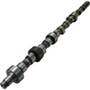 111336 | Camshaft | International | Farmall | IH D361 D407 DT361 DT407 TD15B TD15B 806 815 856 915 1026 1206 1256 1456 2806 2856 21026 21206 21256 21456 | | 670349C1 111336 | Camshaft | International | Farmall | IH D361 D407 DT361 DT407 TD15B TD15B 806 815 856 915 1026 1206 1256 1456 2806 2856 21026 21206 21256 21456 | | 670349C1