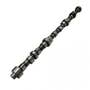 160892 | Camshaft | John Deere 644 644 644A 644A 644C 644C 644D 644D 646 646 646C 690 690 690A 690A 690B 690B 690C 690C 690CR 693B 693C 740 | | AR79610 | R71529 | AR71709 | AR100384 | R44310 | R45980 | R47020 | R47110 | R49470 | R49650 | R59850 | R72128 160892 | Camshaft | John Deere 644 644 644A 644A 644C 644C 644D 644D 646 646 646C 690 690 690A 690A 690B 690B 690C 690C 690CR 693B 693C 740 | | AR79610 | R71529 | AR71709 | AR100384 | R44310 | R45980 | R47020 | R47110 | R49470 | R49650 | R59850 | R72128