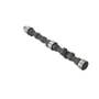 176064 | Camshaft | Long 550 560 610 610C | | TX17007 | TX12305 176064 | Camshaft | Long 550 560 610 610C | | TX17007 | TX12305