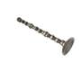 210327 | Camshaft | John Deere CTS CTSII 330CLC 330CLC 330LC 330LC 330LCR 330LCR 370C 370C 530B 535 535 560D 608B 608S 644G 644G 644H 644H 644J 644J 660D 703G 724J 724J 740G 748G 748G 750J 750J 753G 753G 753GL 753GL 759G 759G 762B | | RE57054 | R120872 210327 | Camshaft | John Deere CTS CTSII 330CLC 330CLC 330LC 330LC 330LCR 330LCR 370C 370C 530B 535 535 560D 608B 608S 644G 644G 644H 644H 644J 644J 660D 703G 724J 724J 740G 748G 748G 750J 750J 753G 753G 753GL 753GL 759G 759G 762B | | RE57054 | R120872