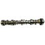 443202 | Camshaft | John Deere CT322 244J 244J 313 315 317 320 4024TF220 4024TF270 4024TF280 4024TF281 4120 4320 4520 4720 | | RE524771 | R516873 443202 | Camshaft | John Deere CT322 244J 244J 313 315 317 320 4024TF220 4024TF270 4024TF280 4024TF281 4120 4320 4520 4720 | | RE524771 | R516873
