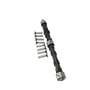184418 | Camshaft With Lifters | Ford NAA 134 172 501 600 601 700 701 800 801 900 901 2000 4000 | 184418 | Camshaft With Lifters | Ford NAA 134 172 501 600 601 700 701 800 801 900 901 2000 4000 |