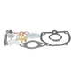 113826 | Carburetor Kit | International | Farmall | IH M MV W6 | | 47387DB | 50983DB 113826 | Carburetor Kit | International | Farmall | IH M MV W6 | | 47387DB | 50983DB