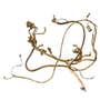 413219 | Engine Wiring Harness | Case IH MX240 MX270 | | 301154A6, 301154A4 413219 | Engine Wiring Harness | Case IH MX240 MX270 | | 301154A6, 301154A4
