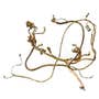 413219 | Engine Wiring Harness | Case IH MX240 MX270 | | 301154A6, 301154A4 413219 | Engine Wiring Harness | Case IH MX240 MX270 | | 301154A6, 301154A4