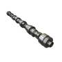 410072 | Camshaft | Case IH AFX7010 Magnum 250 Magnum 260 Magnum 280 Magnum 290 Magnum 310 Magnum 340 Magnum 370 Magnum 380 6130 6140 6150 7010 7120 7130 7140 7230 | Iveco Cursor 9 F2CFE613C | New Holland CR6.80 CR6.90 CR6090 | | 5802189754, 504326209 410072 | Camshaft | Case IH AFX7010 Magnum 250 Magnum 260 Magnum 280 Magnum 290 Magnum 310 Magnum 340 Magnum 370 Magnum 380 6130 6140 6150 7010 7120 7130 7140 7230 | Iveco Cursor 9 F2CFE613C | New Holland CR6.80 CR6.90 CR6090 | | 5802189754, 504326209