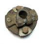 422348 | Steering Column Flange | Case IH 9110 9130 9150 9170 9180 9210 9230 9240 9250 9260 9270 9280 9310 9330 9350 9370 9380 9390 | Steiger BEARCAT 1000 COUGAR 1000 CR1225 CR1280 LION 1000 PANTHER 1000 WILDCAT 1000 | | 60-4436T1 | 60-4390T91 422348 | Steering Column Flange | Case IH 9110 9130 9150 9170 9180 9210 9230 9240 9250 9260 9270 9280 9310 9330 9350 9370 9380 9390 | Steiger BEARCAT 1000 COUGAR 1000 CR1225 CR1280 LION 1000 PANTHER 1000 WILDCAT 1000 | | 60-4436T1 | 60-4390T91