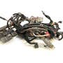 405565 | Chassis Wiring Harness | John Deere CT322 CT332 317 320 325 328 332 | | AT318229 405565 | Chassis Wiring Harness | John Deere CT322 CT332 317 320 325 328 332 | | AT318229