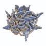 410184 | Clean Grain Elevator Chain | John Deere 8820 | | AH134818 | AH105505 | AH118287 | AH123789 | H106323 410184 | Clean Grain Elevator Chain | John Deere 8820 | | AH134818 | AH105505 | AH118287 | AH123789 | H106323