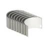 106457 | Connecting Rod Bearing - Standard - 4 Cylinder Set | International | Farmall | IH B275 B414 BC144 BD144 BD154 354 364 384 424 444 444 2424 2424 2444 2444 3414 3414 3444 3444 3444 | | 3070536R11 | 3070546R91 | 87555969 | VPC2740 106457 | Connecting Rod Bearing - Standard - 4 Cylinder Set | International | Farmall | IH B275 B414 BC144 BD144 BD154 354 364 384 424 444 444 2424 2424 2444 2444 3414 3414 3444 3444 3444 | | 3070536R11 | 3070546R91 | 87555969 | VPC2740