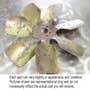497823 | Cooling Fan - 6 or 7 Blade | John Deere 210C 210C 310A 310A 401B 401B 401C 401C 401D 401D 410 480C 480C 482C 482C 500C 500C 510 510 570 570A 570A | | AT170040 | AT35158 497823 | Cooling Fan - 6 or 7 Blade | John Deere 210C 210C 310A 310A 401B 401B 401C 401C 401D 401D 410 480C 480C 482C 482C 500C 500C 510 510 570 570A 570A | | AT170040 | AT35158
