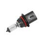 191389 | Cover Bulb | Case IH Magnum 180 Magnum 190 Magnum 200 Magnum 210 Magnum 215 Magnum 220 Magnum 225 Magnum 235 Magnum 240 Magnum 245 Magnum 250 Magnum 255 Magnum 260 Magnum 275 Magnum 280 Magnum 290 Magnum 305 Magnum 310 Magnum 335 | | 87365799 191389 | Cover Bulb | Case IH Magnum 180 Magnum 190 Magnum 200 Magnum 210 Magnum 215 Magnum 220 Magnum 225 Magnum 235 Magnum 240 Magnum 245 Magnum 250 Magnum 255 Magnum 260 Magnum 275 Magnum 280 Magnum 290 Magnum 305 Magnum 310 Magnum 335 | | 87365799