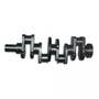 100784 | Crankshaft - 80 Teetth Gear | International | Farmall | IH D239 D239 Hydro 84 268 278 574 674 684 724 744 784 824 | | 3144626R92 | 3055790R91 | 3132752R11 | 3132928R91 | 3132928R92 | 3132928R93 | 3132982R91 | 3132982R92 | 3132982R93 100784 | Crankshaft - 80 Teetth Gear | International | Farmall | IH D239 D239 Hydro 84 268 278 574 674 684 724 744 784 824 | | 3144626R92 | 3055790R91 | 3132752R11 | 3132928R91 | 3132928R92 | 3132928R93 | 3132982R91 | 3132982R92 | 3132982R93