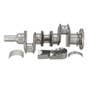 168650 | Crankshaft Kit | Massey Ferguson 35 40 40 50 50 135 150 154-4 200 200 203 203 203 205 205 2135 2135 2200 2200 2244 | Ford Dexta Super Dexta | | ZZ90116 | U5BG0031 | 4222037M91 | 3638309M91 | 4222037V91 | 736532M91 | U5BG0012 | ZZ90148 | ZZ90023 168650 | Crankshaft Kit | Massey Ferguson 35 40 40 50 50 135 150 154-4 200 200 203 203 203 205 205 2135 2135 2200 2200 2244 | Ford Dexta Super Dexta | | ZZ90116 | U5BG0031 | 4222037M91 | 3638309M91 | 4222037V91 | 736532M91 | U5BG0012 | ZZ90148 | ZZ90023