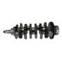 135068 | Crankshaft | Case IH D45 DX45 DX48 DX55 DX60 Farmall 45 Farmall 45A Farmall 45B Farmall 50 Farmall 50B Farmall 55 | | SBA115256840 | SBA115256840 | SBA115256841 | SBA115256740 | SBA115256841 | 87772344 | SBA115256841 | SBA115256840 | P770 135068 | Crankshaft | Case IH D45 DX45 DX48 DX55 DX60 Farmall 45 Farmall 45A Farmall 45B Farmall 50 Farmall 50B Farmall 55 | | SBA115256840 | SBA115256840 | SBA115256841 | SBA115256740 | SBA115256841 | 87772344 | SBA115256841 | SBA115256840 | P770