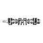 135066 | Crankshaft | Ford 8240 8340 | New Holland TB120 TS115 8010 8240 8340 | | 81869025 | 84203505 | F0NN6300KB | 84203505 | 82843047 | 89833269 | 81869025 135066 | Crankshaft | Ford 8240 8340 | New Holland TB120 TS115 8010 8240 8340 | | 81869025 | 84203505 | F0NN6300KB | 84203505 | 82843047 | 89833269 | 81869025