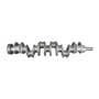 140550 | Crankshaft | John Deere 444 444 444C 444C 444CH 444D 444D 484 499 540A 540A 544 544 544A 544A 544E 544E 544G 544G 570A 570A 570B 570B 699 710B | | AT22562 | RE45541 | RE502190 | RE54130 | SE501647 | T23266 | T23267 | T23260 | R108658 | R108679 140550 | Crankshaft | John Deere 444 444 444C 444C 444CH 444D 444D 484 499 540A 540A 544 544 544A 544A 544E 544E 544G 544G 570A 570A 570B 570B 699 710B | | AT22562 | RE45541 | RE502190 | RE54130 | SE501647 | T23266 | T23267 | T23260 | R108658 | R108679