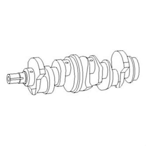 128436 | Crankshaft | John Deere TC54H TC54H TC62H TC62H 200LC 200LC 200 LC 230LC 230LC 230 LC 230LCR 270LC 270LC 335 335 360DC 360DC 360DG 435 435 460DC 460DG 540G 540G 544H 544H 544HLL 544HLL 544J 624H 624H |  | RE515785 | RE504639 | RE52850 | R116076