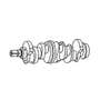 170257 | Crankshaft | John Deere 340D 340D 344E 344E 344G 344G 410C 410C 410D 410D 440C 440C 444E 444E 444G 444G 448D 450E 450E 450G 450G 455E 455E 490D 490D 490E 490E 495D 495D 510B 510B 510D 510D 540B 540B 540D | | RE54883 | R90825 | R120009 | R127410 170257 | Crankshaft | John Deere 340D 340D 344E 344E 344G 344G 410C 410C 410D 410D 440C 440C 444E 444E 444G 444G 448D 450E 450E 450G 450G 455E 455E 490D 490D 490E 490E 495D 495D 510B 510B 510D 510D 540B 540B 540D | | RE54883 | R90825 | R120009 | R127410