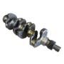 205563 | Crankshaft | Caterpillar 216 226 228 236 242 246 247 248 252 262 267 277 287 906 906 3034 | | 173-1280 | 1731280 205563 | Crankshaft | Caterpillar 216 226 228 236 242 246 247 248 252 262 267 277 287 906 906 3034 | | 173-1280 | 1731280