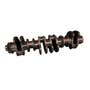 205565 | Crankshaft | John Deere 450 744 824 844 6750 6850 7400 7500 7700 9120 9220 9300 9320 9330 9400 9410 9420 9430 9510 9520 9530 9560 9620 9630 9750 9860 9870 9880 | | RE522871 | SE501664 | R519559 205565 | Crankshaft | John Deere 450 744 824 844 6750 6850 7400 7500 7700 9120 9220 9300 9320 9330 9400 9410 9420 9430 9510 9520 9530 9560 9620 9630 9750 9860 9870 9880 | | RE522871 | SE501664 | R519559