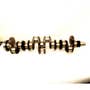 205372 | Crankshaft | New Holland TR97 | | E5HN6303AD 205372 | Crankshaft | New Holland TR97 | | E5HN6303AD