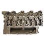 162369 | Cylinder Head | Case W11B W11B 450C 450C 455C 455C 480E 480E 480ELL 480ELL 480F 480F 480FLL 480FLL 550 550 550E 550E 550G 550G 570LXT 570LXT 580K 580K 580SE 580SE 584E 584E 585E 585E 586E 586E 650G 650G | | 3920005 | 87429905 | J20005 | J929736 162369 | Cylinder Head | Case W11B W11B 450C 450C 455C 455C 480E 480E 480ELL 480ELL 480F 480F 480FLL 480FLL 550 550 550E 550E 550G 550G 570LXT 570LXT 580K 580K 580SE 580SE 584E 584E 585E 585E 586E 586E 650G 650G | | 3920005 | 87429905 | J20005 | J929736