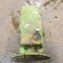 436598 | Engine Oil pan | John Deere 5200 5400 5440 5460 5720 5730 5820 5830 6030 6619AF 6619TF-01 7520 8440 8450 8630 8640 8650 | | R73192 | R72352 436598 | Engine Oil pan | John Deere 5200 5400 5440 5460 5720 5730 5820 5830 6030 6619AF 6619TF-01 7520 8440 8450 8630 8640 8650 | | R73192 | R72352