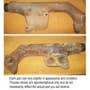 401612 | Exhaust Manifold - Rear Half | John Deere 4040 4050 4050 4055 4240S 4250 4255 4320 4430 4440 4450 4455 4555 4630 4640 4650 4755 4840 4850 4955 5200 5400 5440 5720 5730 6076 6076 6466A 6466D 6466T 6600 6602 6610 6620 6622 6650 7020 | | R46472 401612 | Exhaust Manifold - Rear Half | John Deere 4040 4050 4050 4055 4240S 4250 4255 4320 4430 4440 4450 4455 4555 4630 4640 4650 4755 4840 4850 4955 5200 5400 5440 5720 5730 6076 6076 6466A 6466D 6466T 6600 6602 6610 6620 6622 6650 7020 | | R46472
