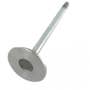 124062 | Exhaust Valve .015 | John Deere CTS 250 250 300 300 330 330 370 370 530B 535 535 560D 608 644 644 660D 724 740 740 748 753 759 770 770 772 772 848G 848G 850 850 853 870 870 872 900 903 903 909 950 950 953 953 959 1470 1470 1710 1710 | | R93313 124062 | Exhaust Valve .015 | John Deere CTS 250 250 300 300 330 330 370 370 530B 535 535 560D 608 644 644 660D 724 740 740 748 753 759 770 770 772 772 848G 848G 850 850 853 870 870 872 900 903 903 909 950 950 953 953 959 1470 1470 1710 1710 | | R93313